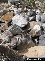 010520081648c 010520081648c