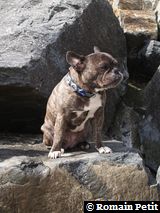 010520081649a 010520081649a