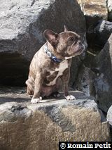 010520081649c 010520081649c