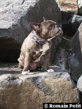 010520081649d 010520081649d