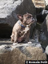 010520081649f 010520081649f