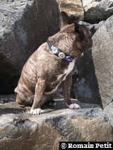 010520081649g 010520081649g