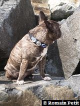 010520081649h 010520081649h