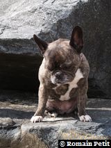 010520081649j 010520081649j