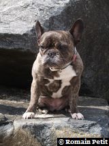 010520081649k 010520081649k