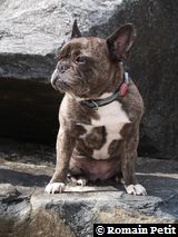 010520081649m 010520081649m