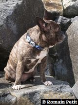 010520081649n 010520081649n