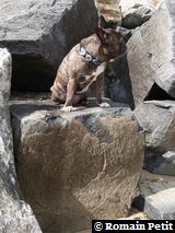 010520081649o 010520081649o