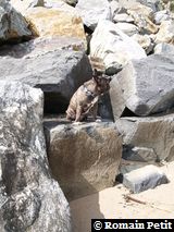 010520081649p 010520081649p