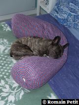 020520081202a 020520081202a