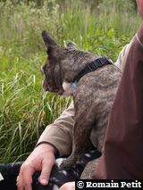 020520081643c 020520081643c