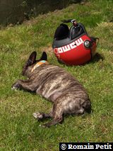 010620081229a 010620081229a