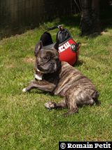 010620081229b 010620081229b