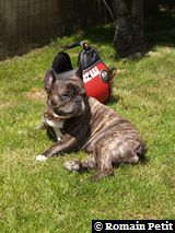 010620081229c 010620081229c