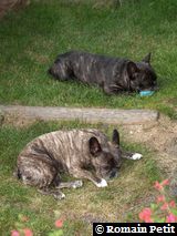 080620081819e 080620081819e