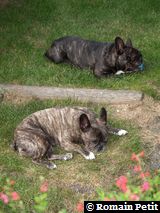 080620081819f 080620081819f