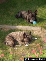 080620081820a 080620081820a