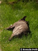 090620081041c 090620081041c