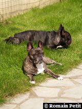 090620081045e 090620081045e