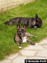 090620081045f 090620081045f