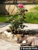 090620081048d 090620081048d