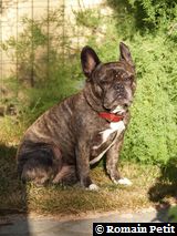 140720080812a 140720080812a