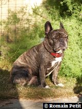 140720080812b 140720080812b