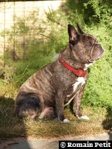 140720080812f 140720080812f