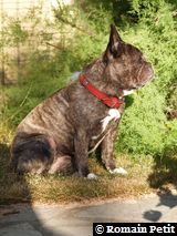 140720080812g 140720080812g