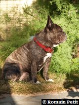 140720080812h 140720080812h