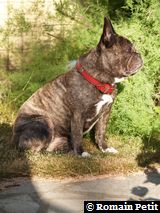 140720080813a 140720080813a