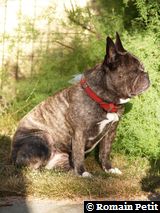 140720080813c 140720080813c