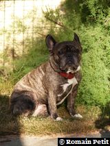 140720080813d 140720080813d