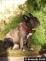 140720080813e 140720080813e