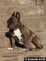 140820080914a 140820080914a