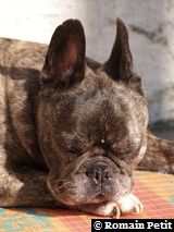 280220091421h 280220091421h