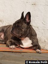 280220091423p 280220091423p