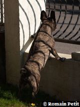 280220091438b 280220091438b