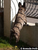 280220091438c 280220091438c