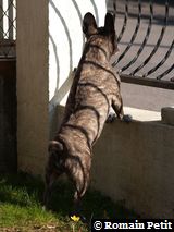 280220091438d 280220091438d