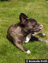 240520091133e 240520091133e