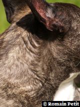 240520091134a 240520091134a