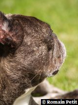 240520091134b 240520091134b