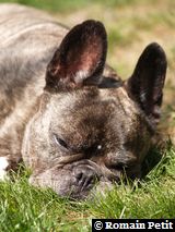 240520091137a 240520091137a