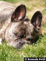 240520091137b 240520091137b