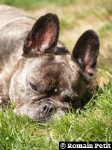 240520091137c 240520091137c