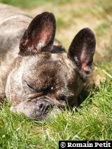 240520091137d 240520091137d