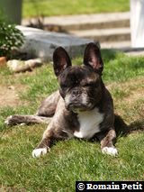 240520091137e 240520091137e