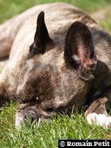 240520091137l 240520091137l