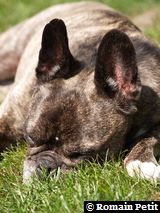 240520091137m 240520091137m